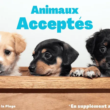 Appartamento 1 à Pour 4 Personnes Proche - Fr-1-323-266